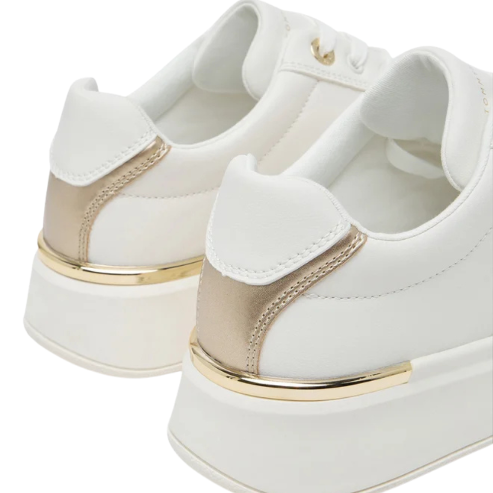 Tommy Hilfiger Scarpe da Donna Art.T3A9-33985-1355530